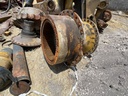 IMG_2732.jpeg