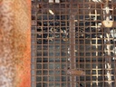 IMG_5840.jpeg