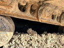 IMG-20250317-WA0077.jpg