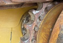 IMG-7