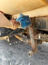 IMG_8843.jpeg